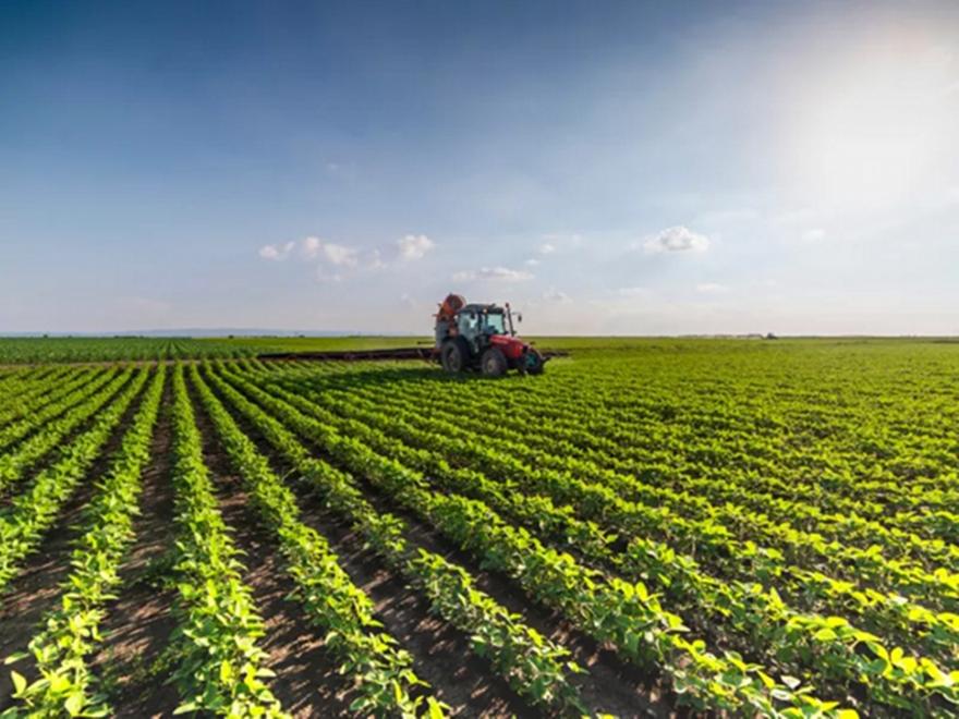 Στην τελική ευθεία οι έρευνες για τον ΟΠΕΚΕΠΕ: Στο στόχαστρο 3 εγκληματικές οργανώσεις σε Κρήτη, Κοζάνη και Τρίκαλα