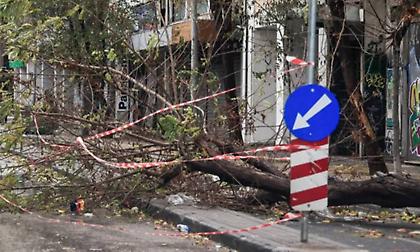 Σφοδροί άνεμοι στην Αττική - Κλήσεις στην Πυροσβεστική για κοπές δέντρων και αφαίρεση αντικειμένων