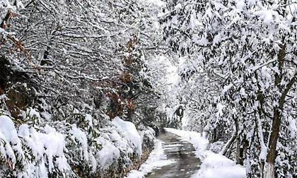 Έκτακτο δελτίο επιδείνωσης καιρού: Ραγδαία πτώση της θερμοκρασίας και χιονοπτώσεις