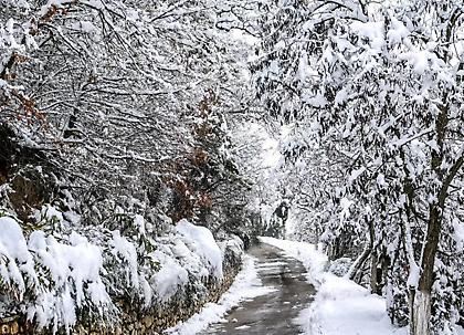 Καιρός: Έντονο κύμα ψύχους - Χαμηλές θερμοκρασίες και χιονοπτώσεις