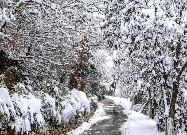 Καιρός: Έντονο κύμα ψύχους - Χαμηλές θερμοκρασίες και χιονοπτώσεις