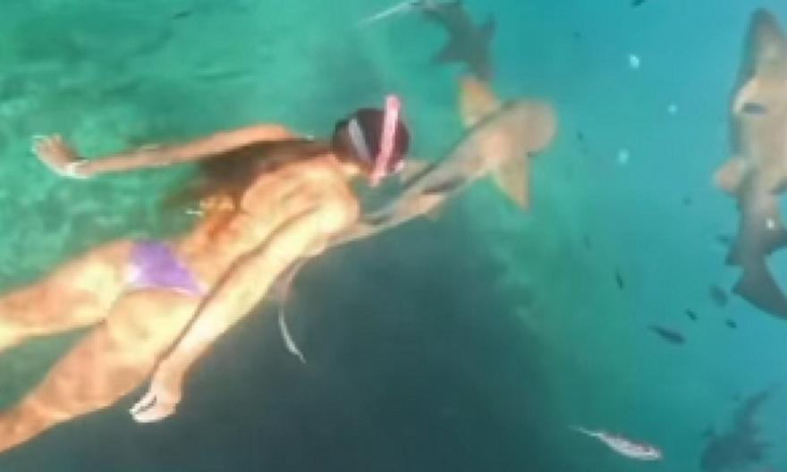 Βίντεο με καρχαρία να επιτίθεται σε γυναίκα ενώ έκανε κατάδυση στη Βραζιλία