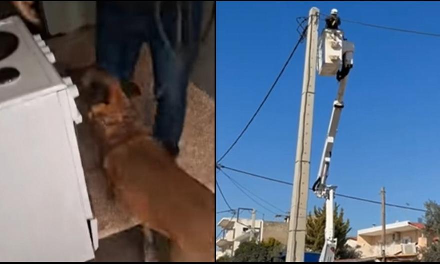 Επιχείρηση της ΕΛ.ΑΣ. στο Μενίδι: Εκλεβαν ρεύμα με καλώδια 800 μέτρων – 13 συλλήψεις