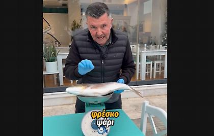 Θες φρέσκο ψάρι; Μάθε να το ξεχωρίζεις και πρόσεχε που θα το φας!