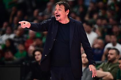 Πετρίδης: «Ο Παναθηναϊκός δεν παίζει όπως ξέρει και μπορεί - Πρέπει από σήμερα να βγάλει αντίδραση»