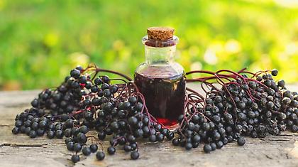 Σαμπούκος: Το μούρο που μπορεί να καταπραϋνει τα συμπτώματα του κρυολογήματος