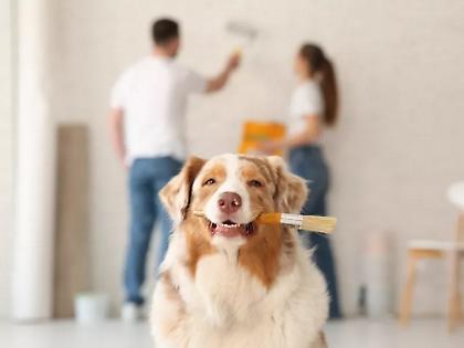 Στεγαστικό: 29 μέτρα με 2,6 δισ. ευρώ για φτηνότερα ενοίκια, ανακαινίσεις και νέες κατοικίες