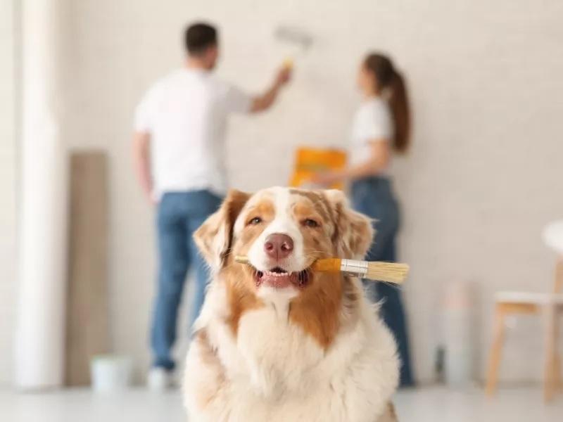 Στεγαστικό: 29 μέτρα με 2,6 δισ. ευρώ για φτηνότερα ενοίκια, ανακαινίσεις και νέες κατοικίες