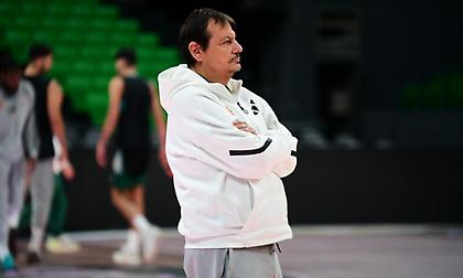 Πετρίδης: «Η διπλή αγωνιστική αποκτά χαρακτήρα τελικών για τον Παναθηναϊκό - Τεράστια η πίεση και μεγάλες οι απαιτήσεις»