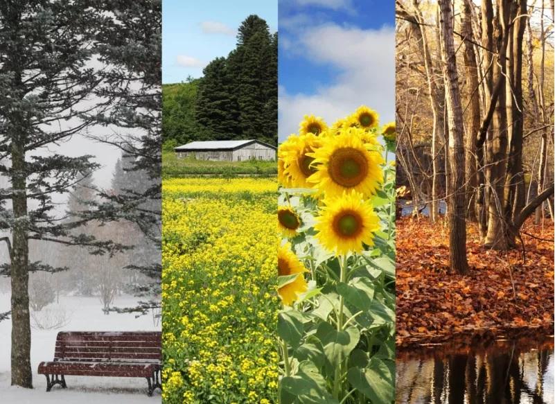 Καιρός: Κρύο και ενισχυμένοι άνεμοι - Επιδείνωση του καιρού την Τετάρτη