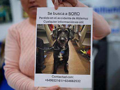 Διασώθηκε, μετά από τέσσερις μέρες, ο σκύλος που αγνοείτο στο σιδηροδρομικό δυστύχημα στην Ισπανία