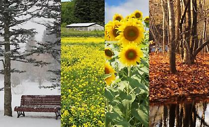 Νέα επιδείνωση του καιρού από σήμερα το απόγευμα και από τα δυτικά, με νοτιάδες, βροχές και καταιγίδες