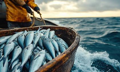 Μπλε τρόφιμα: Η αλήθεια για τη σημασία που έχουν για τη ζωή και την οικονομία