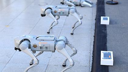 Ενισχυμένη με… ρομπότ σκύλους η Αστυνομία της Γουαδελούπε στο Παγκόσμιο Κύπελλο του 2026!