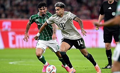 Βέρντερ-Μπάγερν