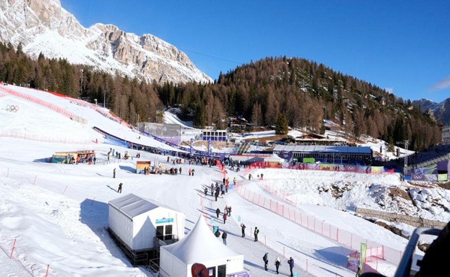 Ο σκύλος που έγινε… Ολυμπιονίκης: Όταν ένα τυχαίο βίντεο έκλεψε τη δόξα των Αγώνων