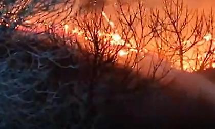 Θεσσαλονίκη: Υπό μερικό έλεγχο η φωτιά στο πρώην στρατόπεδο Κόδρα