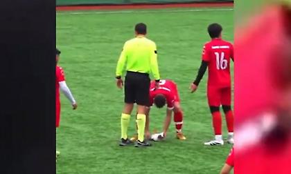 Απίστευτο σκηνικό στην Τουρκία: Γλάρος τραυματίστηκε από βολέ τερματοφύλακα και σώθηκε με ΚΑΡΠΑ!