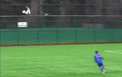 Τερματοφύλακας πέτυχε… γλάρο με βολέ και συμπαίκτης του τον έσωσε με ΚΑΡΠΑ!