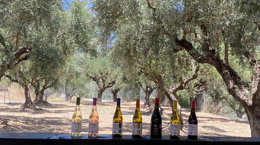 Messinia Terroirs: Οι οινοπαραγωγοί της Μεσσηνίας για πρώτη φορά στην Αττική