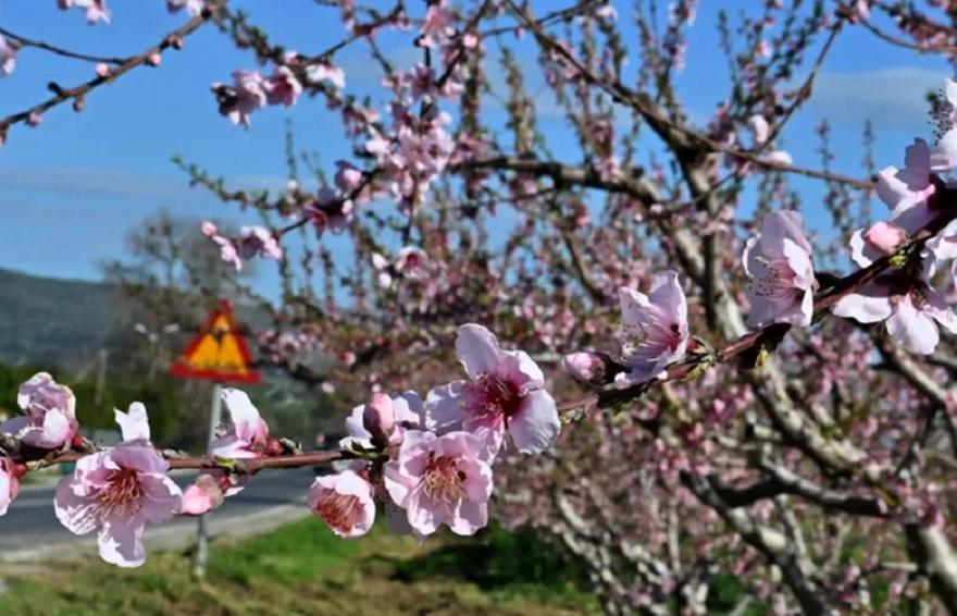 Καιρός: Ηλιοφάνεια στη χώρα σήμερα με μικρή άνοδο της θερμοκρασίας