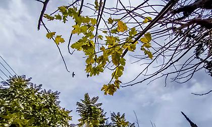 Αίθριος ο καιρός σήμερα - Στα ίδια επίπεδα η θερμοκρασία