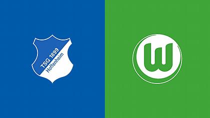 Χόφενχαϊμ-Βόλφσμπουργκ