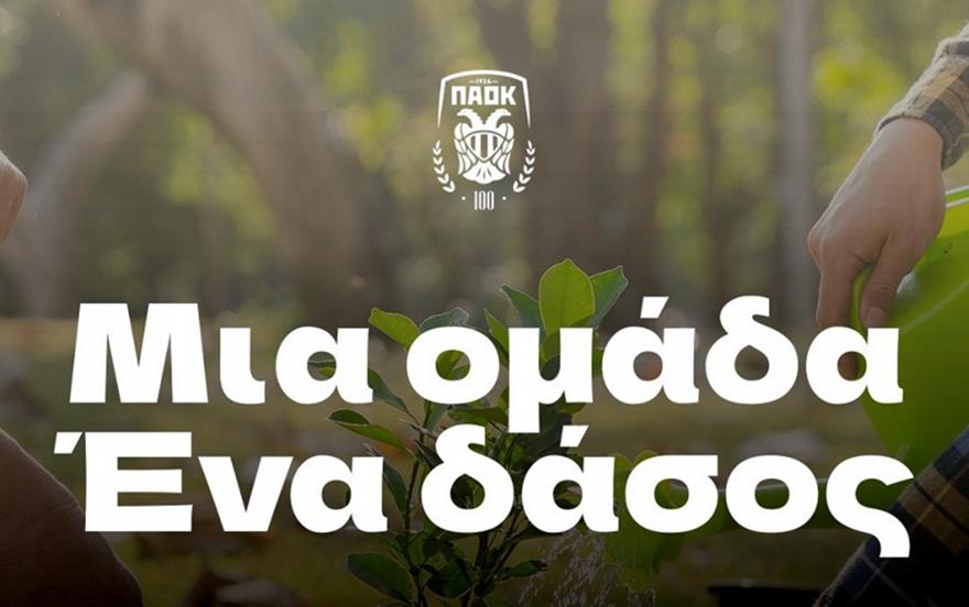 «Μια ομάδα, ένα δάσος»: Ο ΠΑΟΚ για τη δενδροφύτευση στο περιαστικό δάσος Τούμπας!
