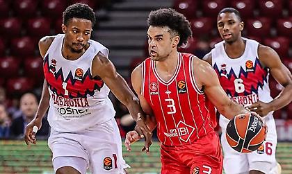 Μπασκόνια-Χάποελ