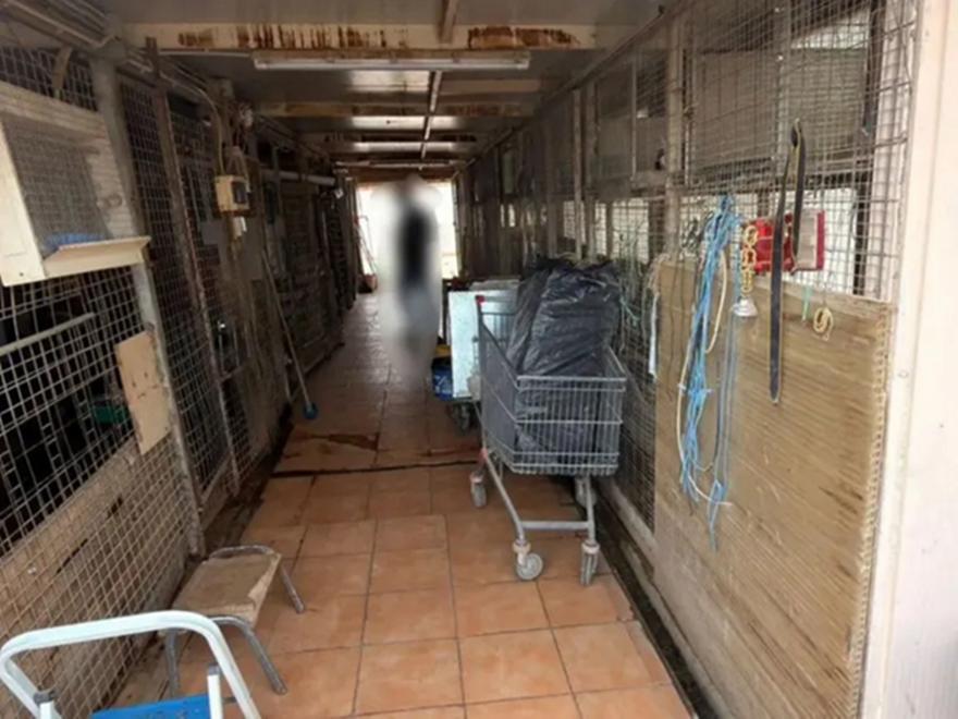 ΕΦΕΤ: Καμία εμπλοκή στο περιστατικό παράνομης εκτροφής ζώων στους Αμπελόκηπους