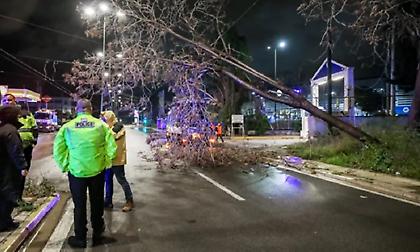 Κακοκαιρία Erminio: Πτώσεις δέντρων και αντλήσεις υδάτων στην Αττική - Σε «RED CODE» πολλές περιοχές της χώρας