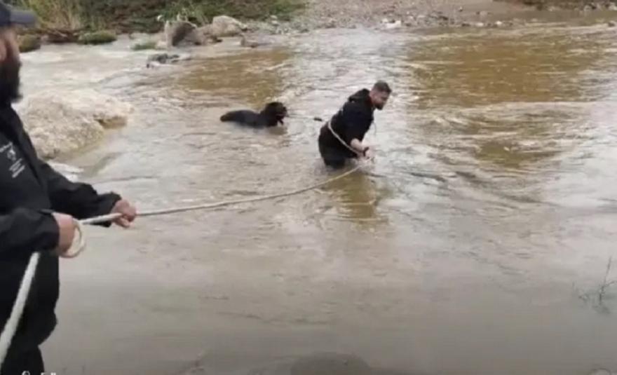 Χαλκιδική: Διάσωση δύο σκύλων που είχαν εγκλωβιστεί σε βράχους μέσα σε ποταμό