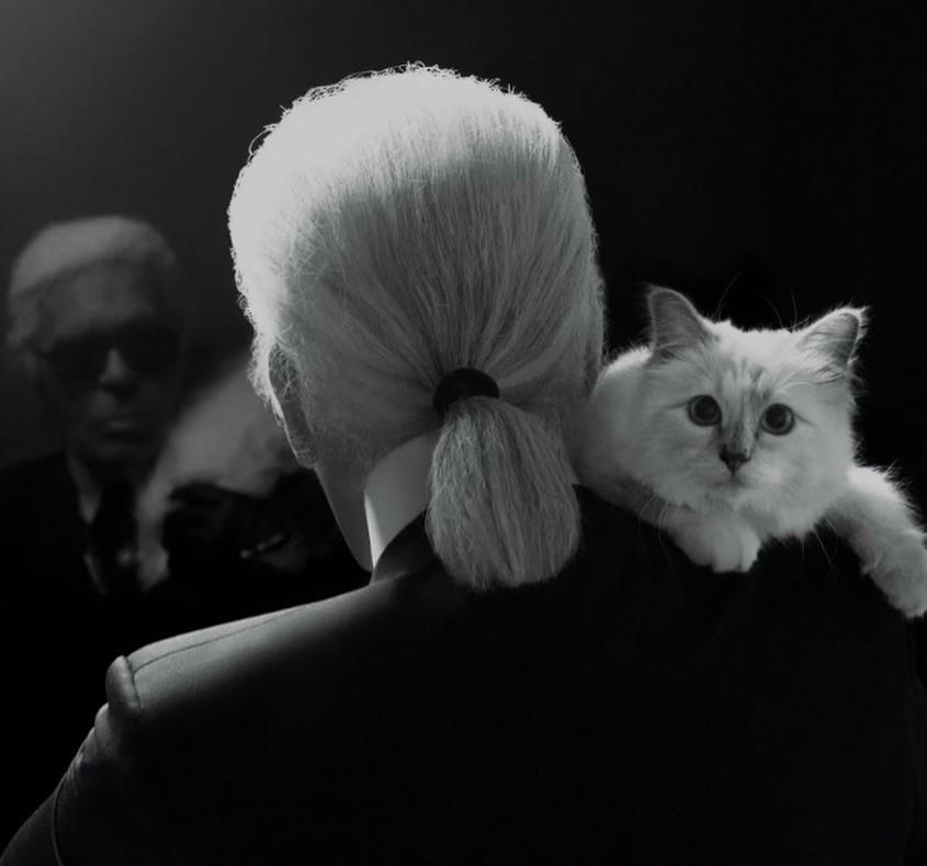 Κληρονόμοι με ουρά: Όταν τα κατοικίδια γίνονται εκατομμυριούχοι