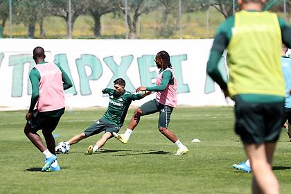 Παναθηναϊκός: Τουρνουά τεσσάρων ομάδων στο Κορωπί