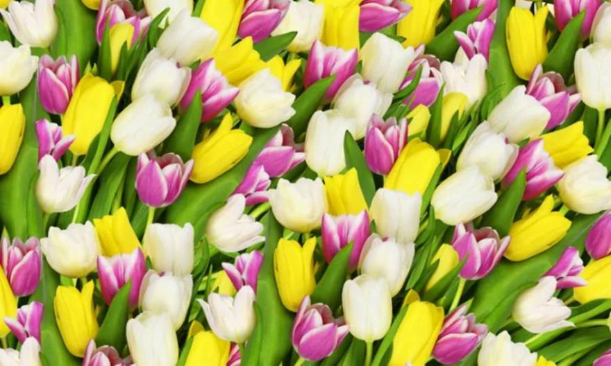 Ποιοι γιορτάζουν σήμερα, 15 Απριλίου