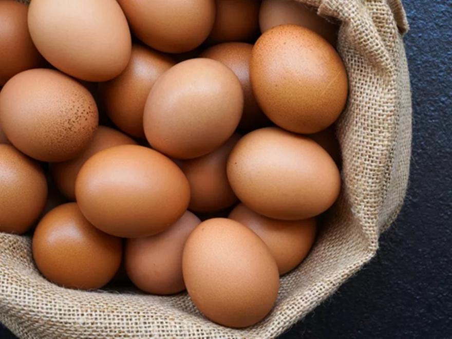 Η Σιγκαπούρη θα προμηθεύεται κρέας και αυγά από την Ελλάδα