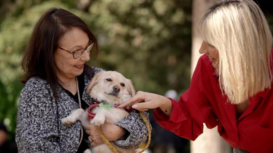 Pet Stories: Η Λυδία Φωτοπούλου μιλά για τη σχέση ζωής με τα ζώα