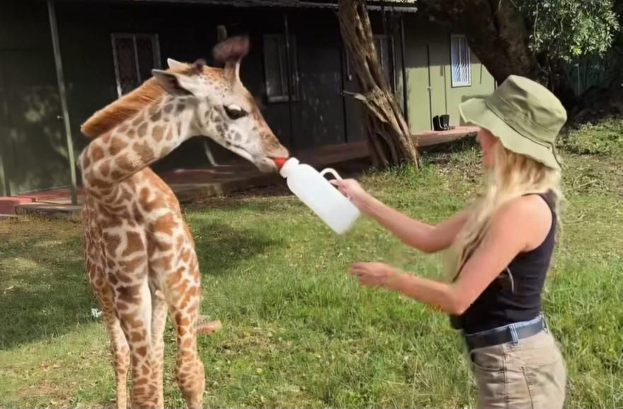 Παναγιώταρου: Ταϊζει ένα μωρό καμηλοπάρδαλη με μπιμπερό στην πιο memorable στιγμή της στην Κένυα