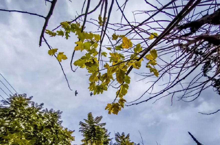 Καιρός: Πού αναμένονται σήμερα βροχές - Ανεβαίνει η θερμοκρασία