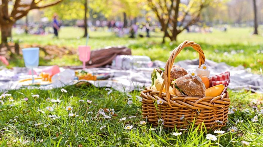 Πικ νικ: 15 μέρη στην Αθήνα για να νιώσεις σαν να έχεις πάει εκδρομή