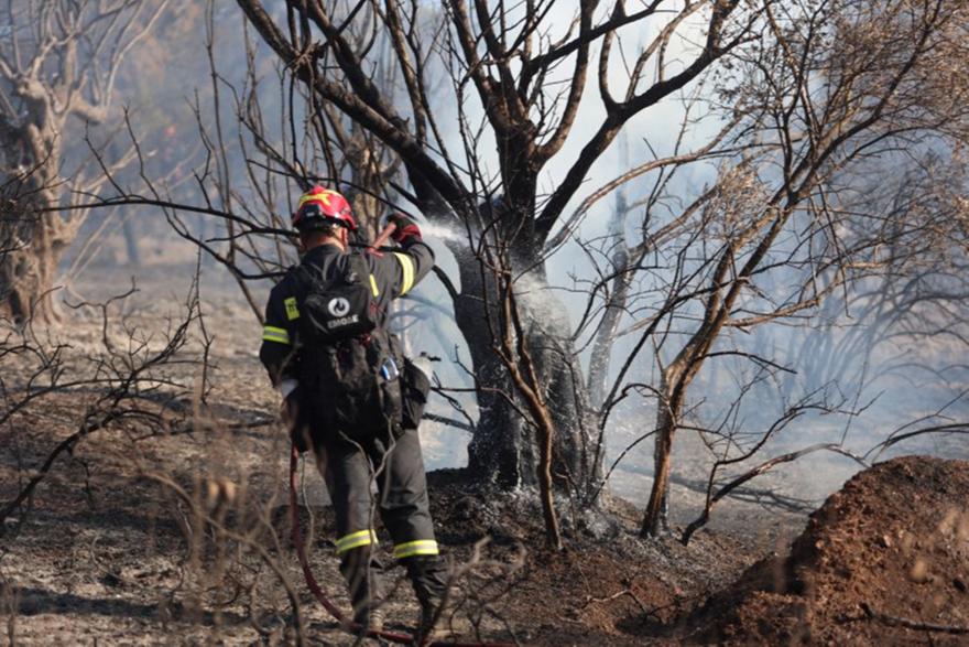 Ξεκίνησε η αντιπυρική περίοδος - Σε ισχύ ο ημερήσιος χάρτης πρόβλεψης κινδύνου πυρκαγιάς