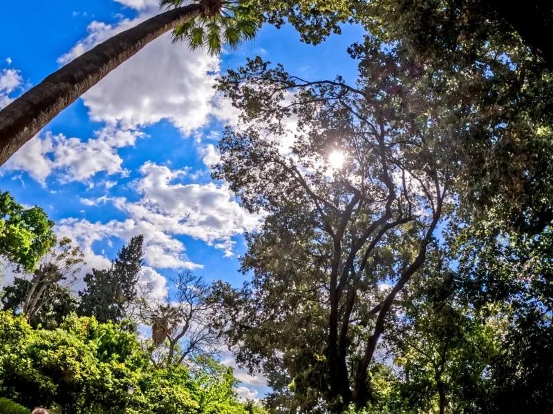 Καιρός: Νεφώσεις με λίγες βροχές σήμερα - Στα ίδια επίπεδα η θερμοκρασία
