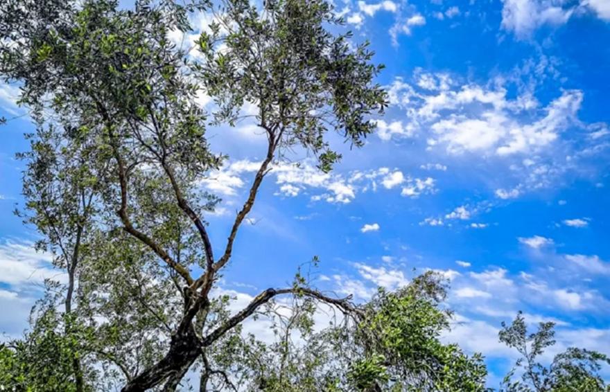 Βελτιώνεται σήμερα ο καιρός - Έως 28 βαθμούς η θερμοκρασία