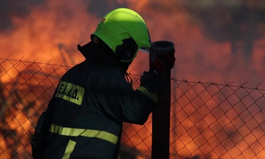 Καλαμάτα: Μεγάλη φωτιά σε εργοστάσιο ξυλείας στο Ασπρόχωμα