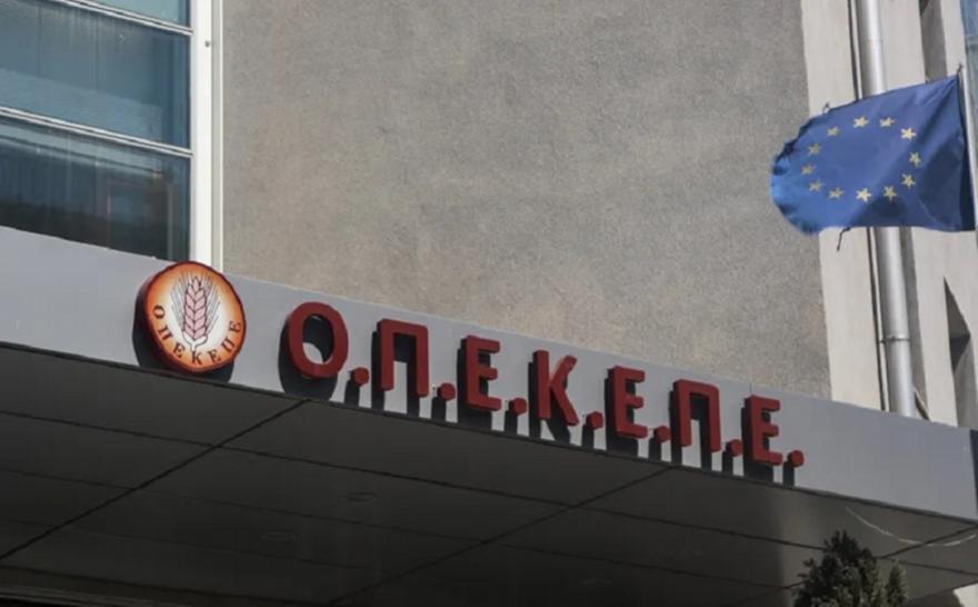 ΟΠΕΚΕΠΕ: Απολογούνται σήμερα οι υπόλοιποι 10 από τους 22 κατηγορούμενους από την Κρήτη