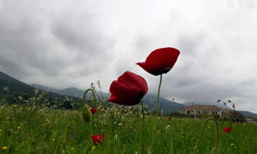 Καιρός: Βροχές και καταιγίδες σε πολλές περιοχές την Πέμπτη 4 Ιουνίου – Πτώση θερμοκρασίας