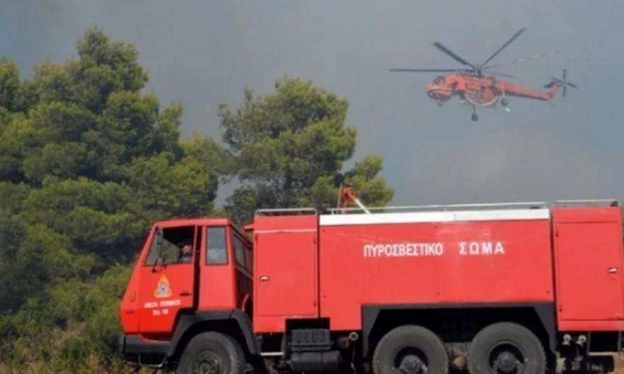 Πυρκαγιά σε δασική έκταση στον Σχίνο Κορινθίας