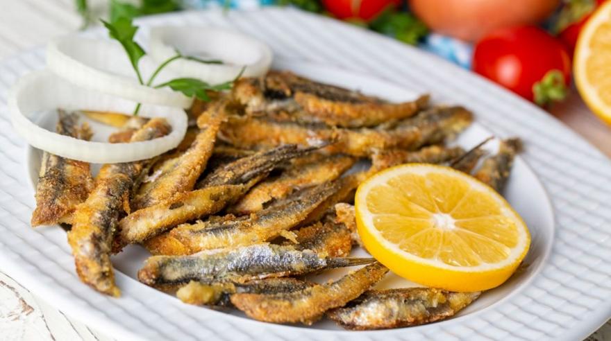 Τα ψάρια του Αιγαίου, τα χαρακτηριστικά και ποια εποχή τρώμε το καθένα