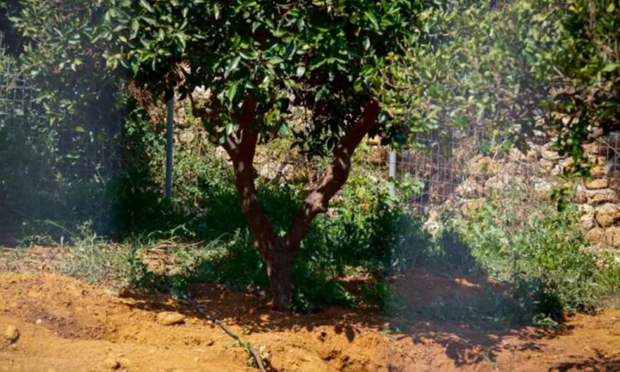 Δεν προκύπτει ερωτικό κίνητρο για τη δολοφονία της Σταυρούλας, λέει η ΕΛ.ΑΣ. – Γνωστός στις Αρχές ο 43χρονος