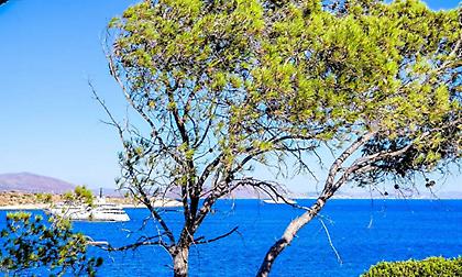 Καιρός: Μικρή πτώση της θερμοκρασίας και τοπικές καταιγίδες